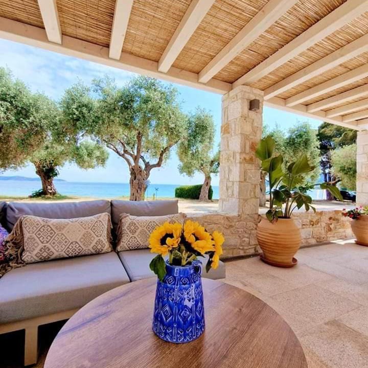 Photo of Others in Thasos Town