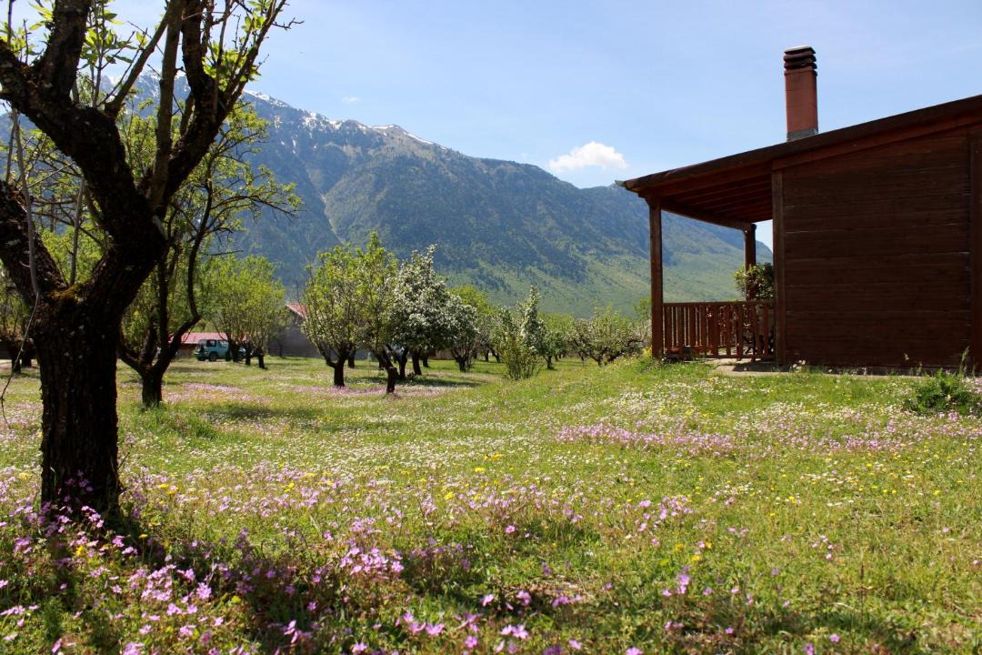 Photo of Others in Konitsa