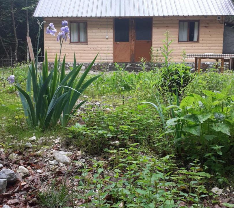 Photo of Others in Kukes County