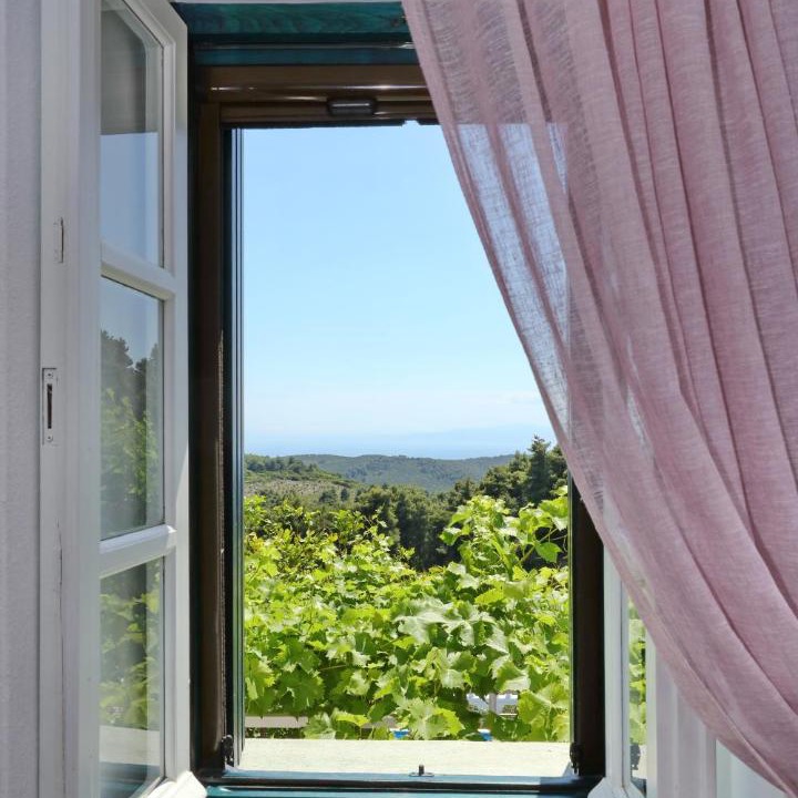 Photo of Patio Balcony in Skopelos