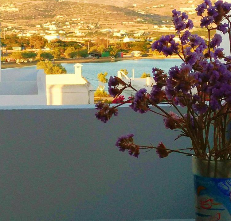 Photo of Others in Antiparos