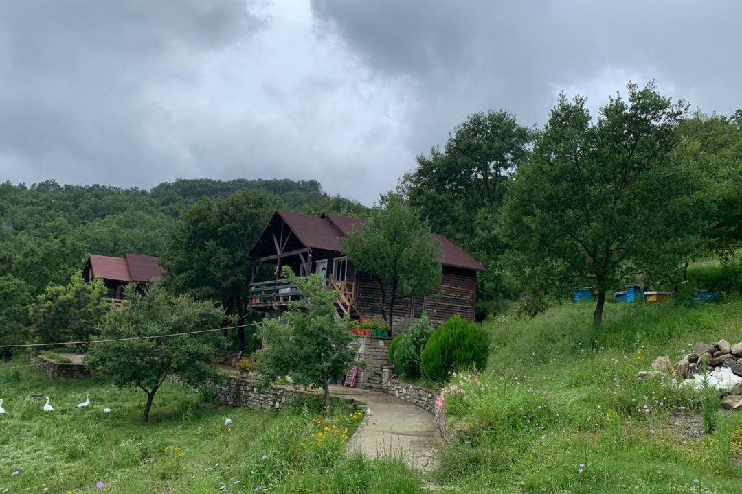 Photo of Others in Sinje