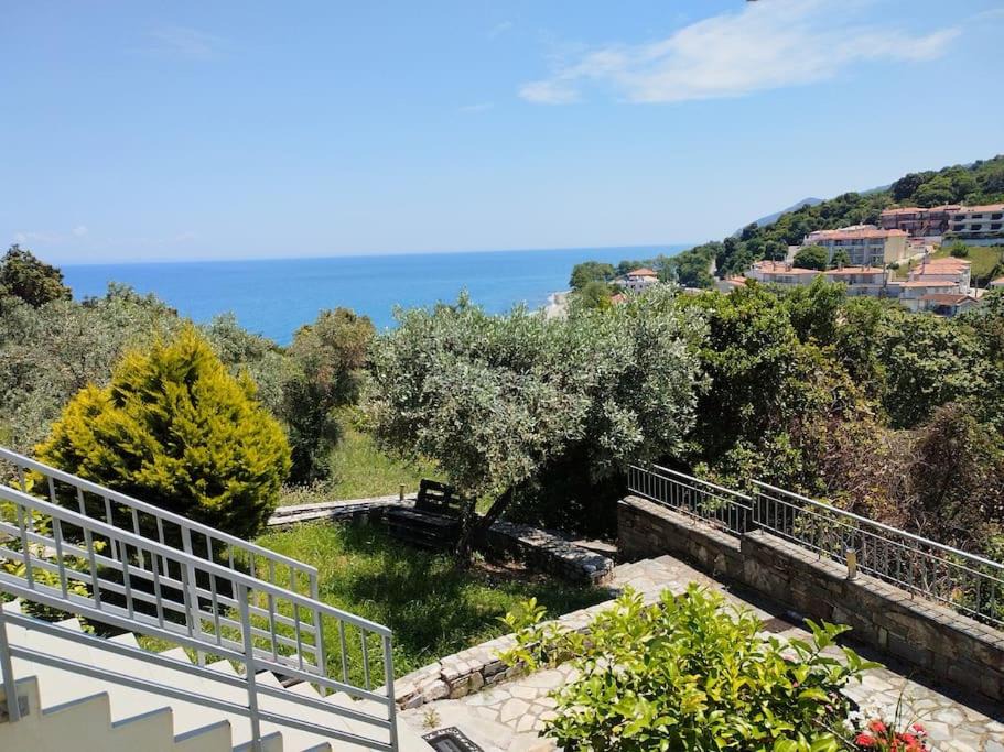 Photo of Others in Agia