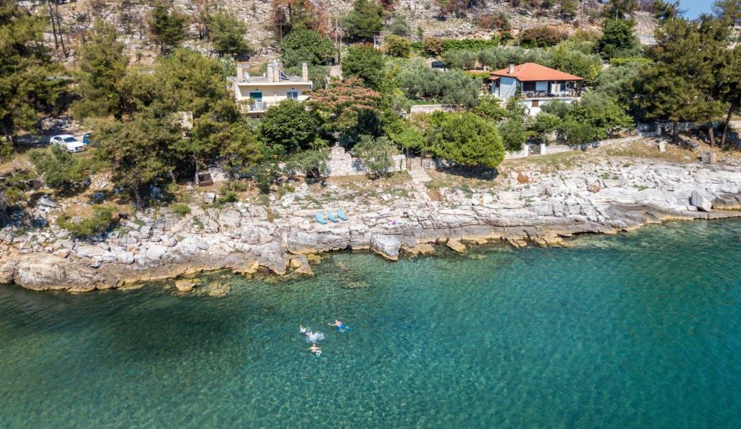 Photo of Others in Thasos