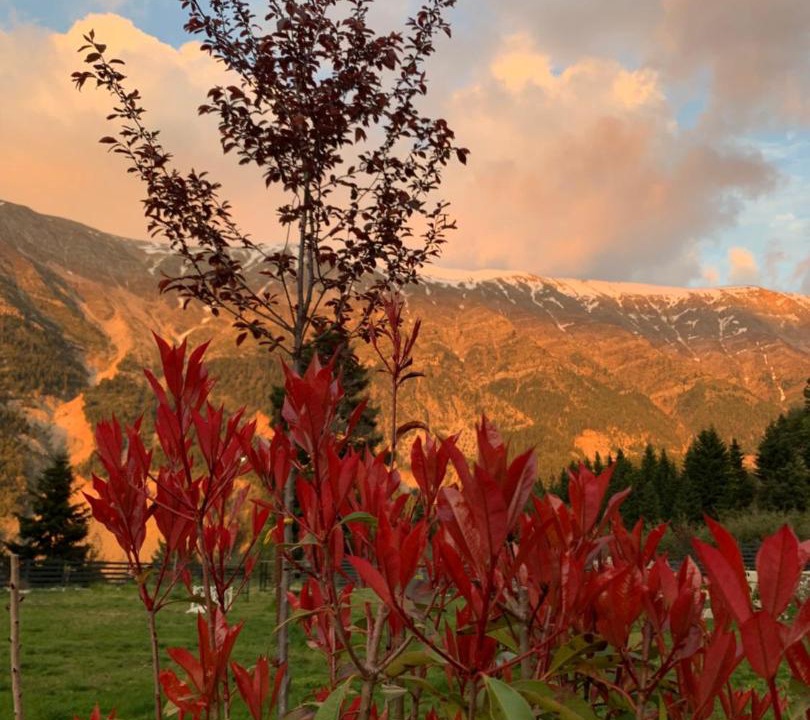 Photo of Others in Melissourgoi