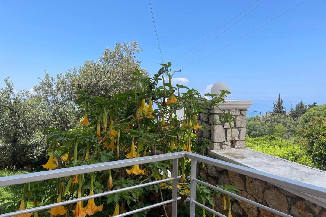 Photo of Others in Dhermi