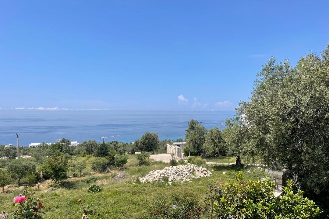 Photo of Others in Dhermi
