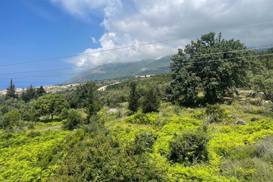 Photo of Others in Dhermi