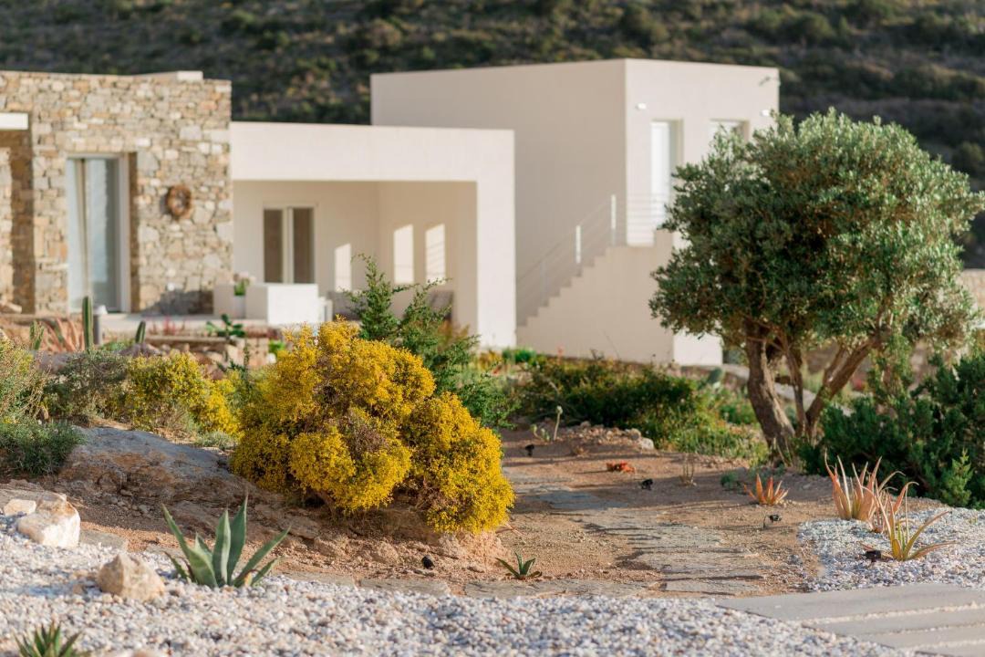 Photo of Others in Paros