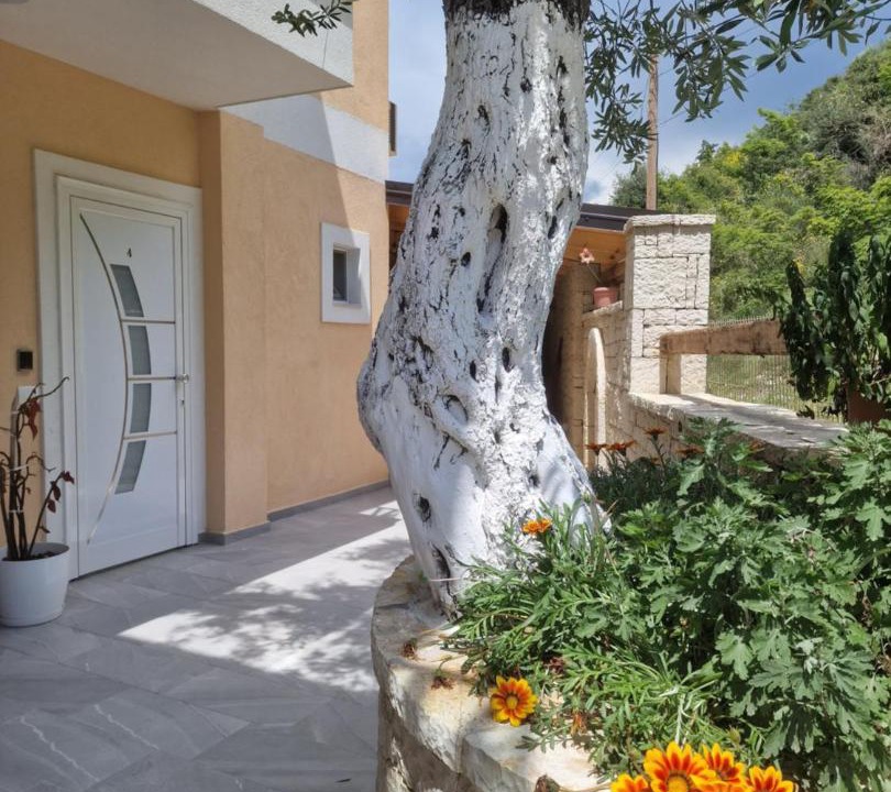 Photo of Others in Himare