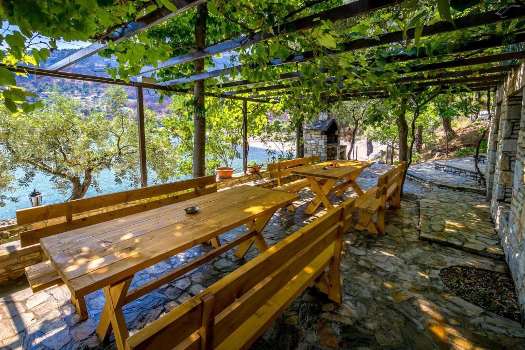 Photo of Others in Thasos