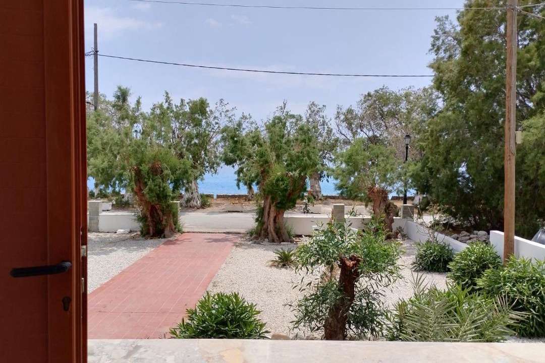Photo of Others in Sougia