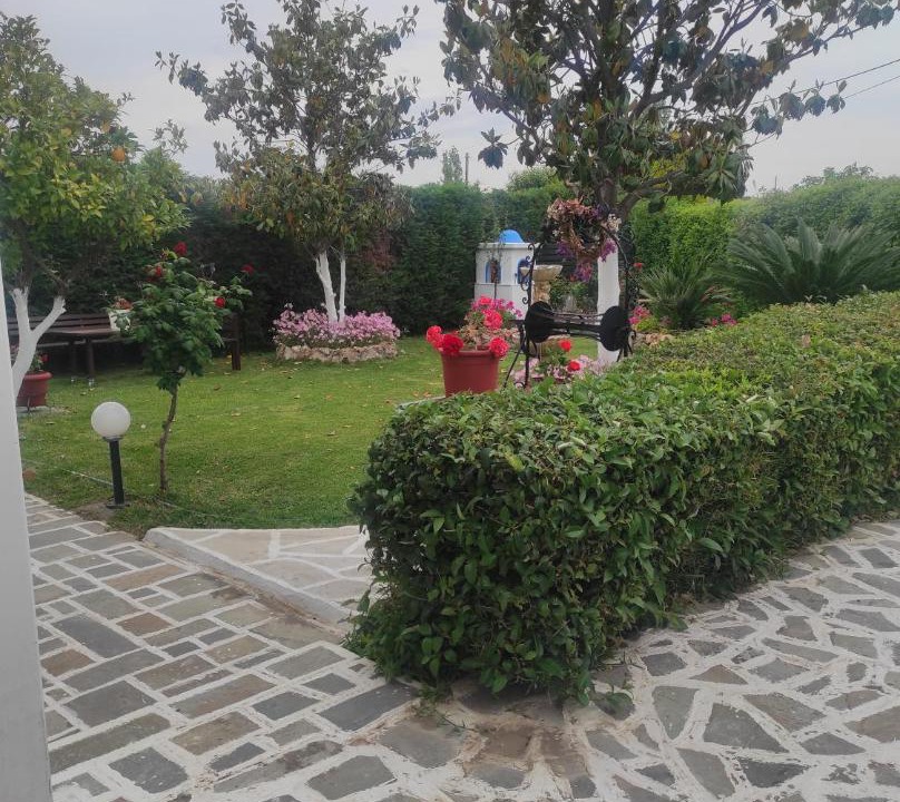 Photo of Others in Nea Palatia