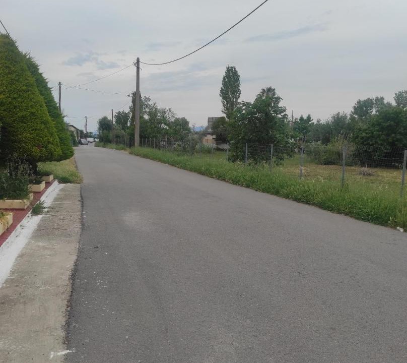 Photo of Others in Nea Palatia