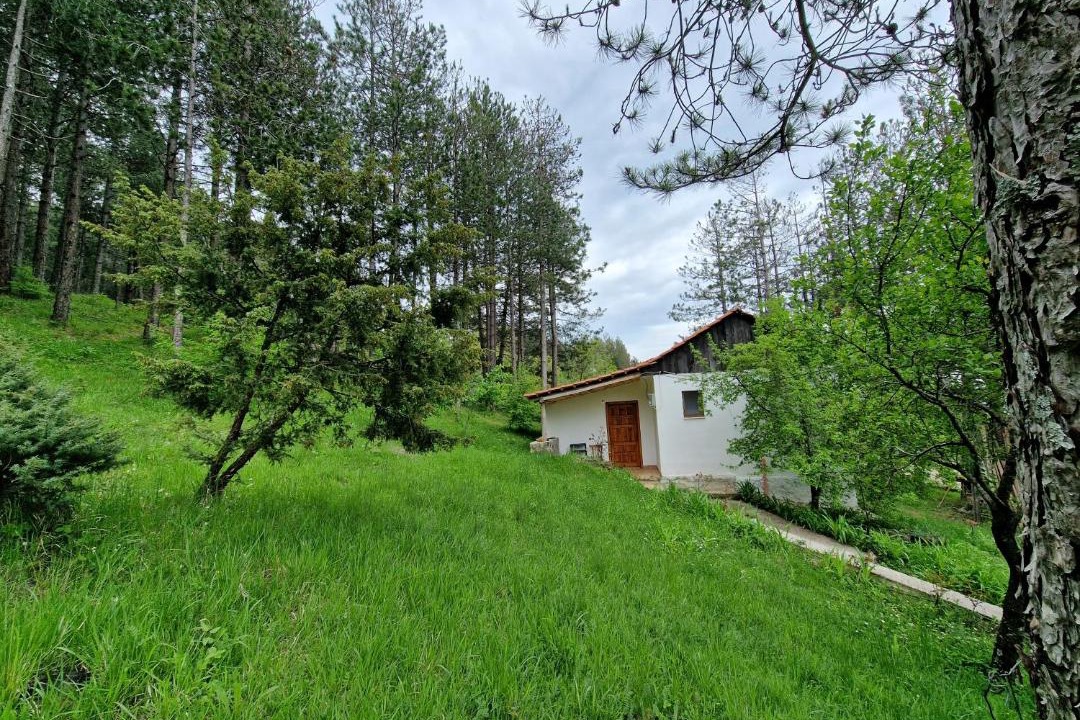 Photo of Others in Elbasan