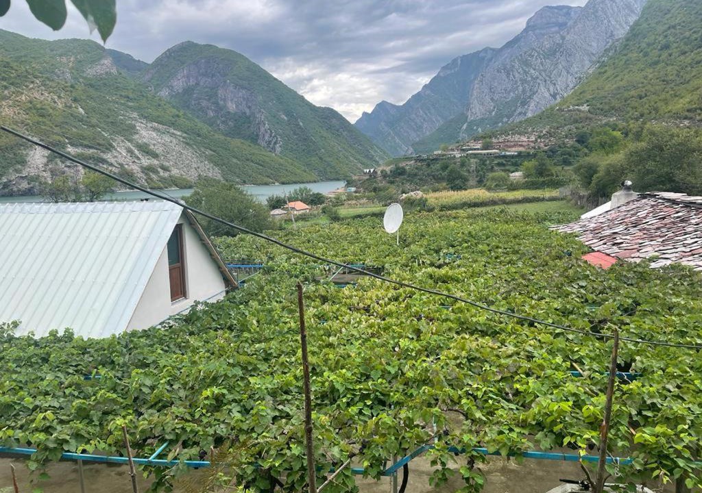 Photo of Others in Sakës