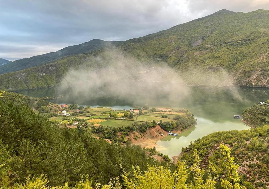 Photo of Others in Sakës