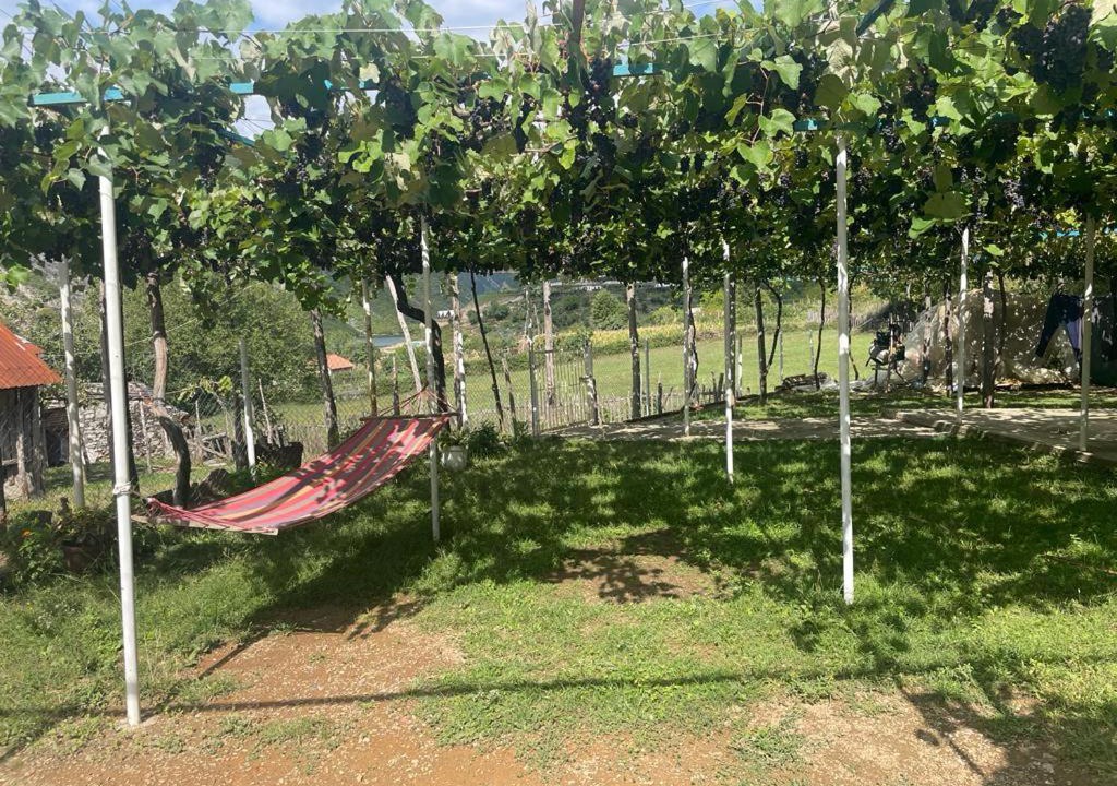 Photo of Outdoor in Sakës