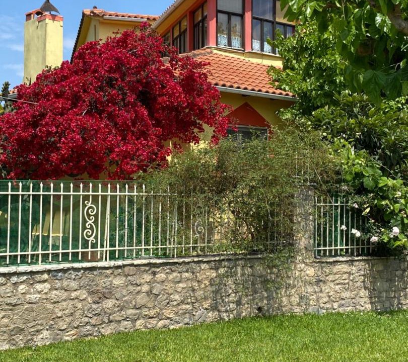 Photo of Buildings in Rododafni