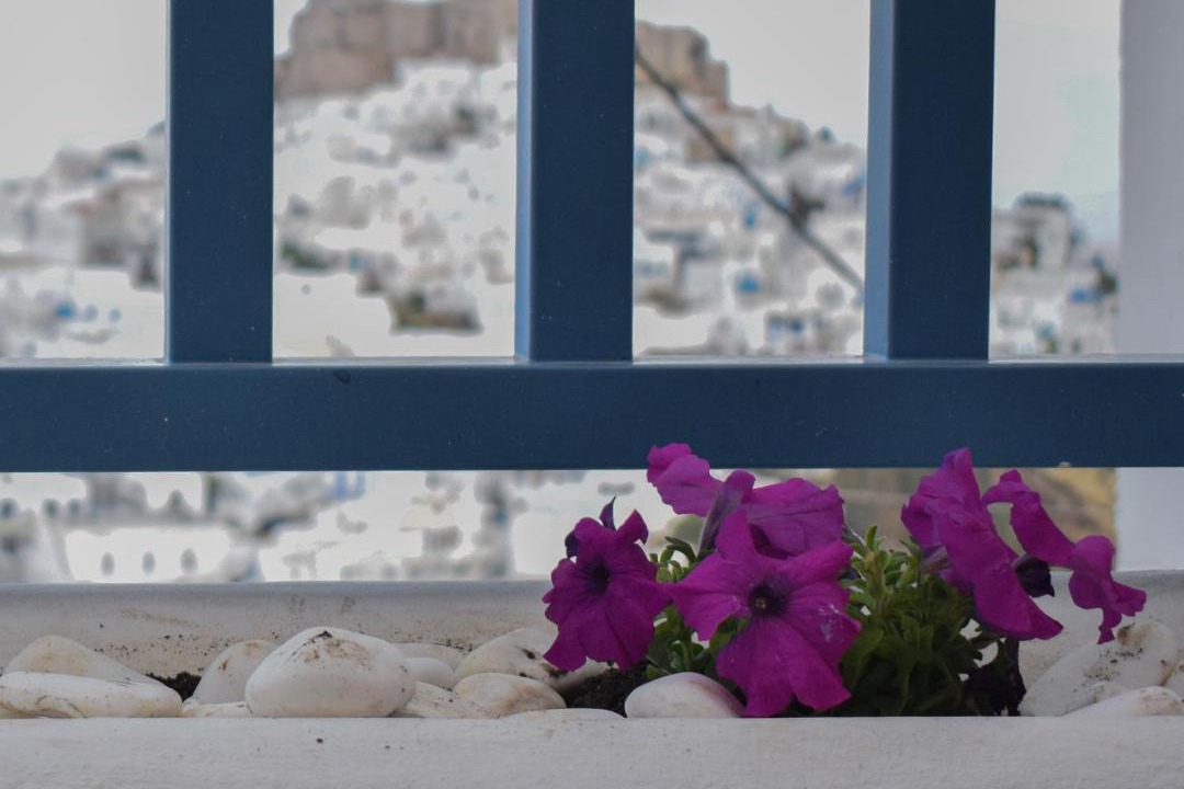 Photo of Others in Astypalaia