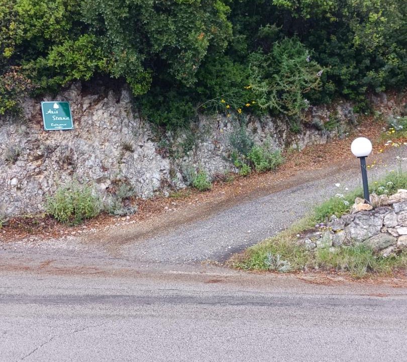 Photo of Others in Pirgi