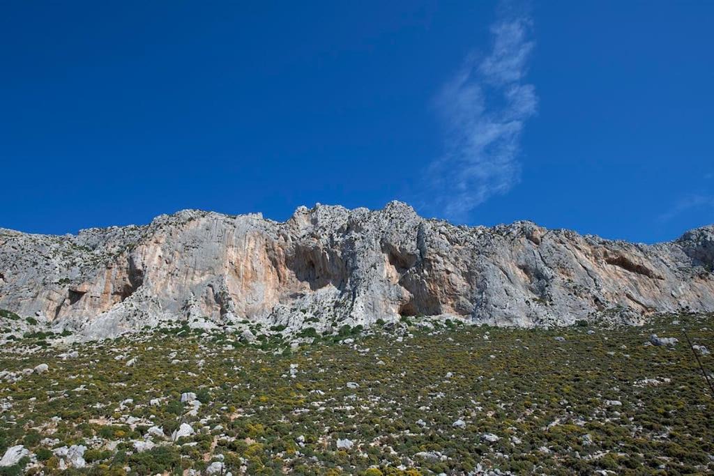 Photo of Others in Massouri