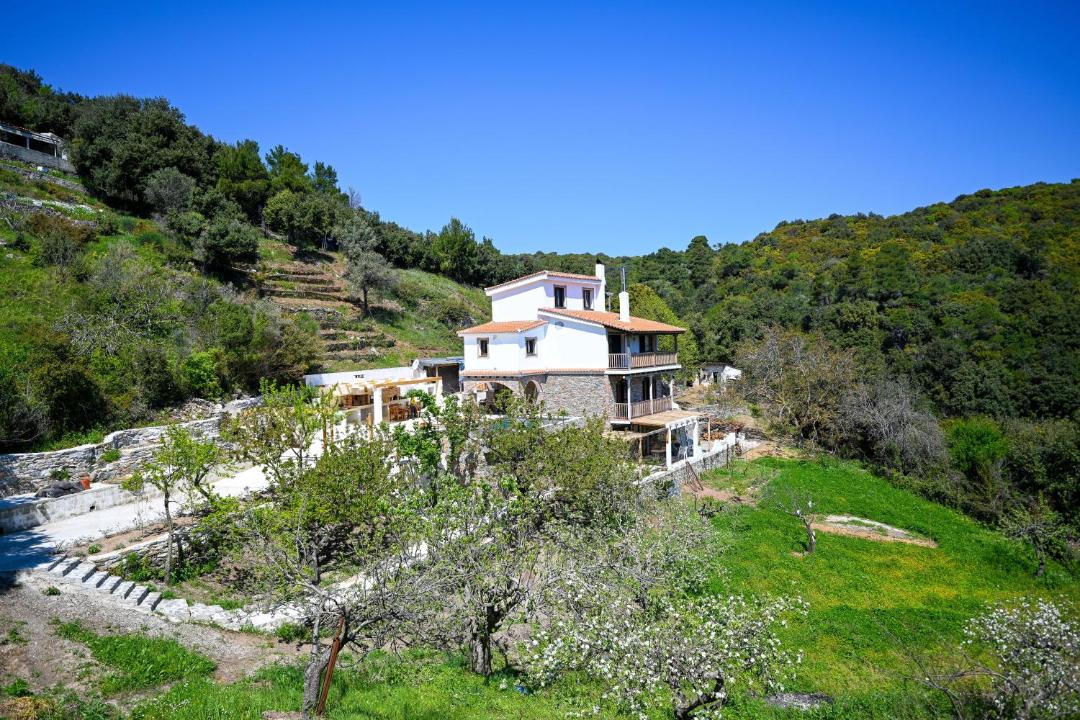 Photo of Others in Skiathos