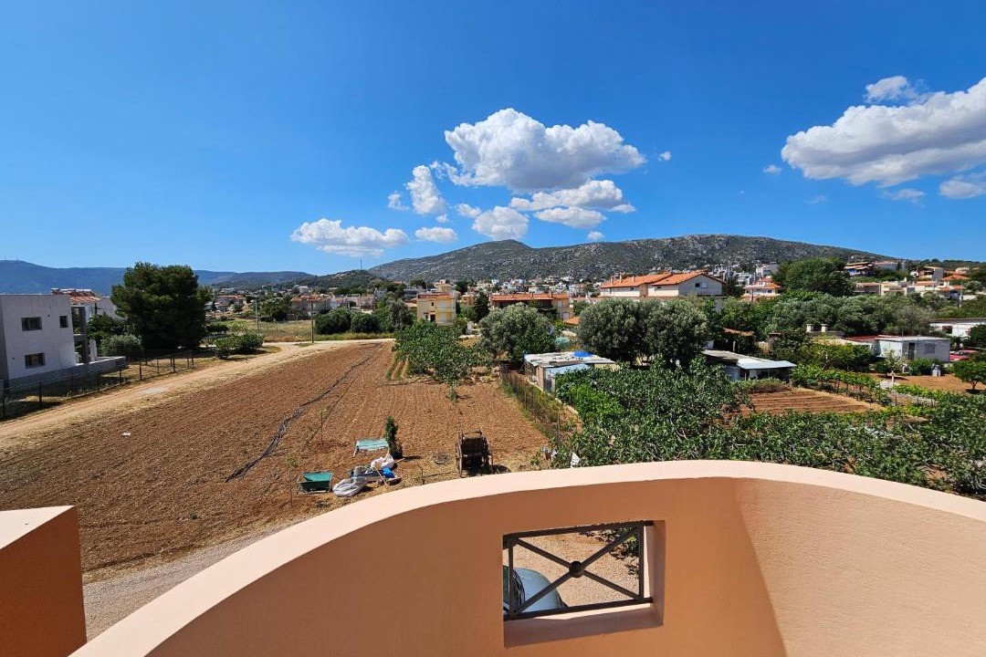Photo of Others in Porto Rafti