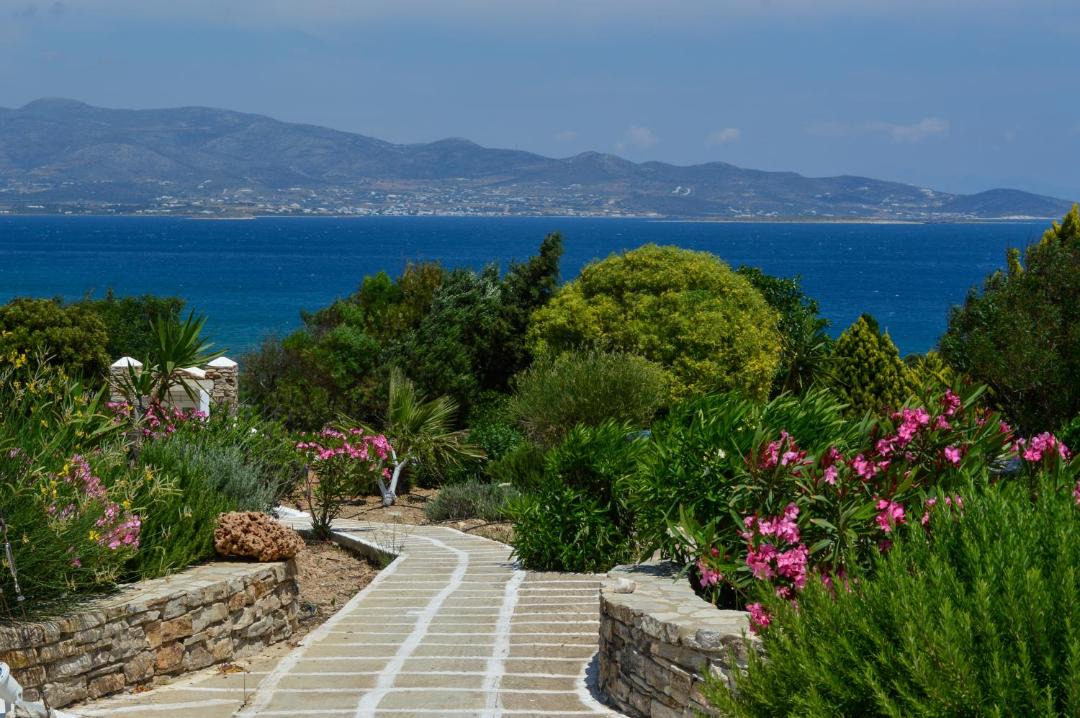 Photo of Others in Antiparos