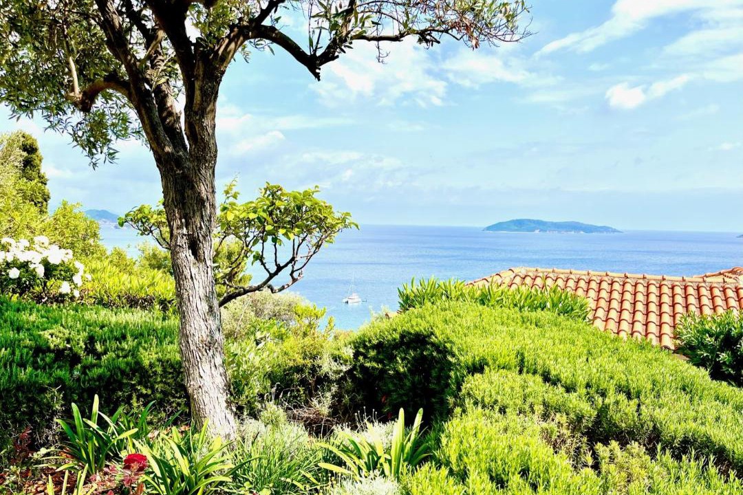Photo of Others in Skiathos Town
