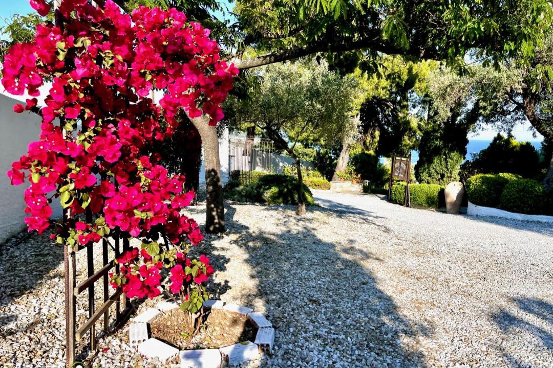 Photo of Others in Skiathos Town