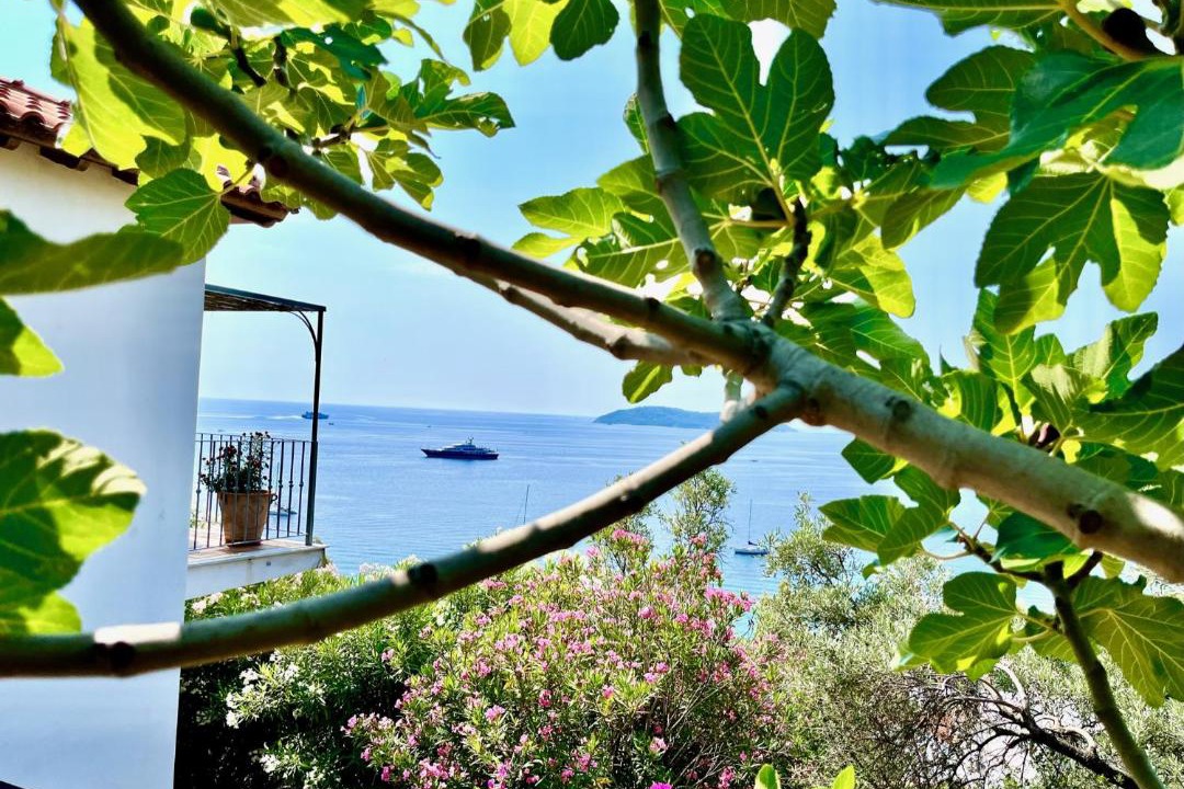Photo of Others in Skiathos Town