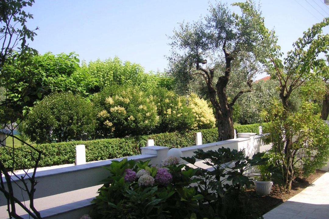 Photo of Others in Thasos Town