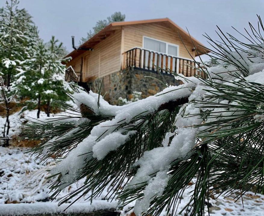 Photo of Others in Elbasan County
