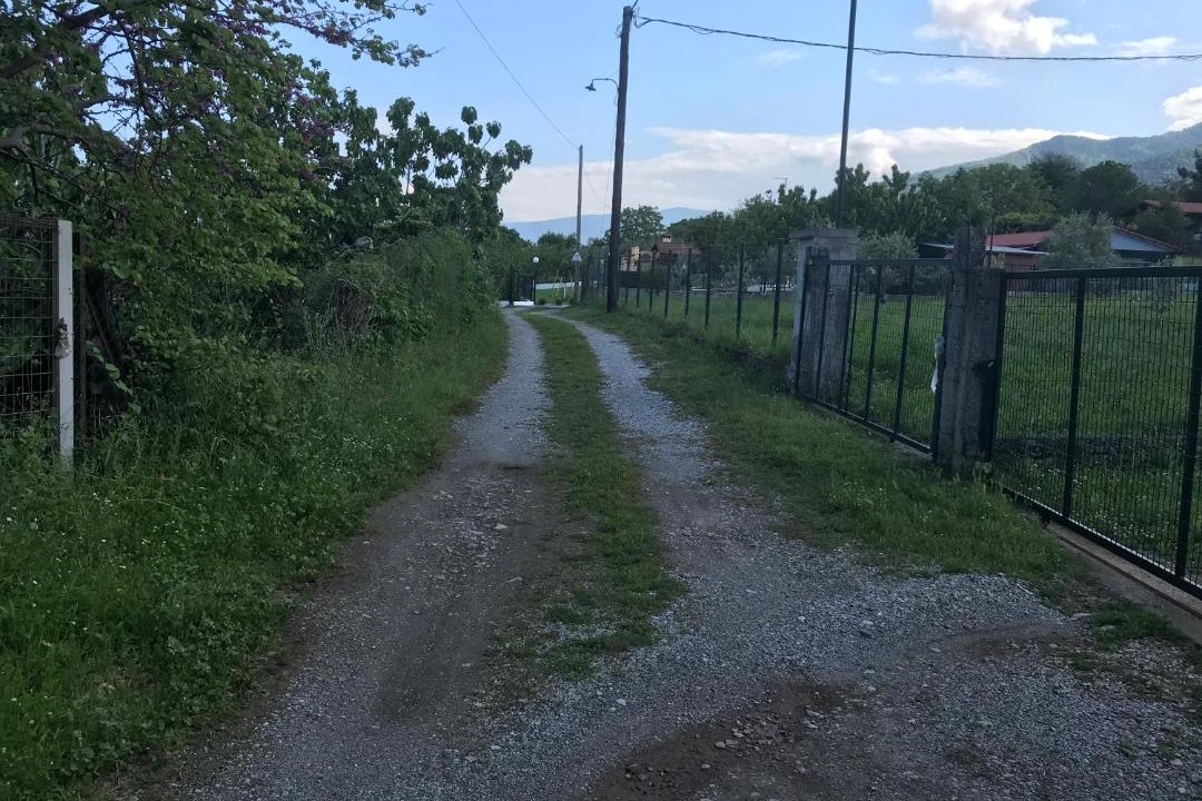 Photo of Outdoor in Litochoro