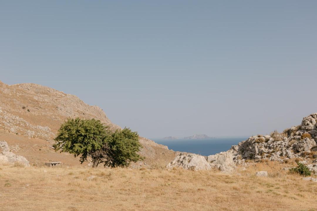 Photo of Others in Yianniou