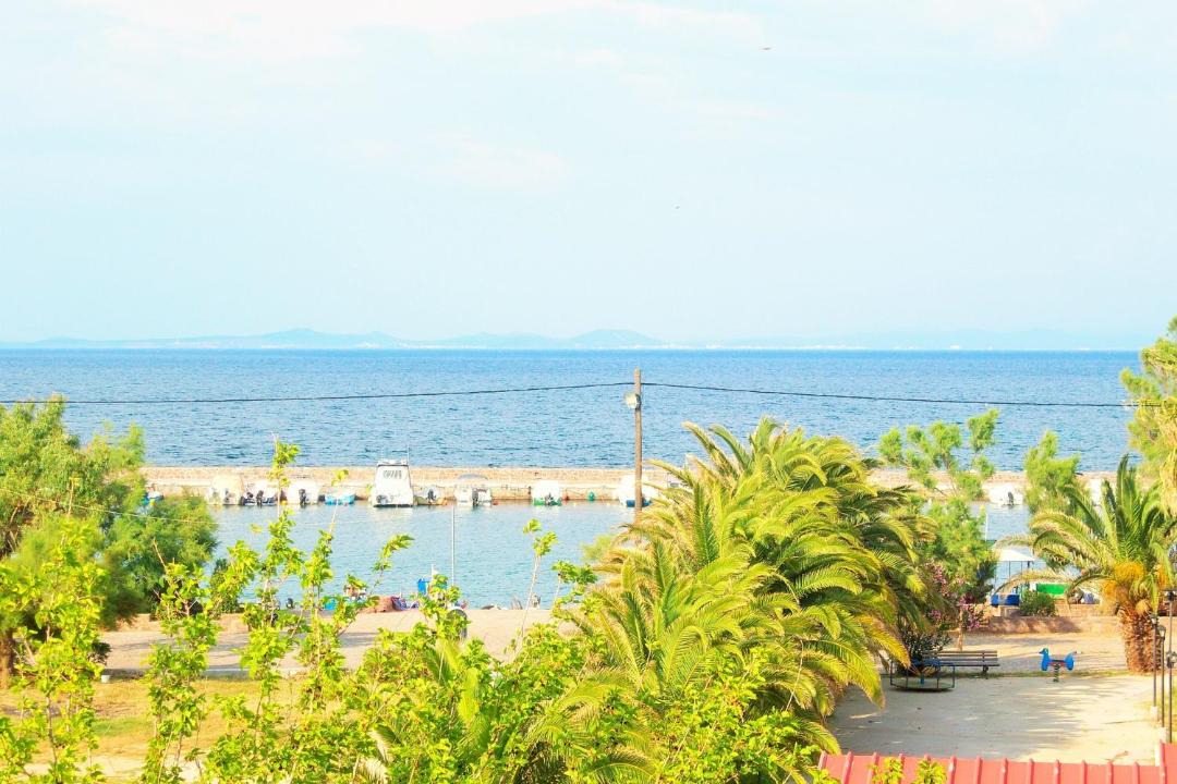 Photo of Others in Mytilene