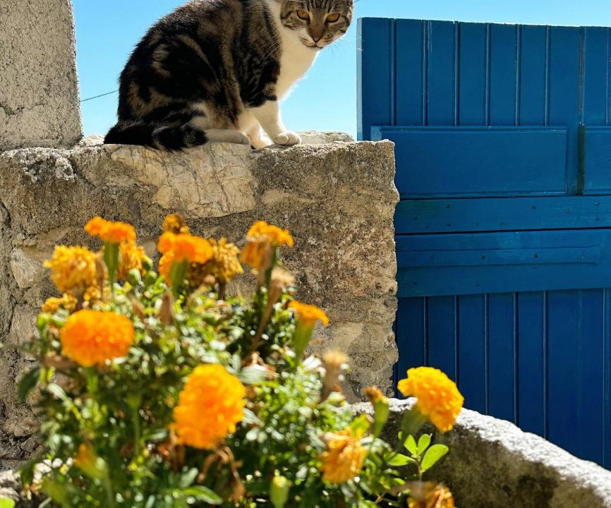 Photo of Others in Mitata