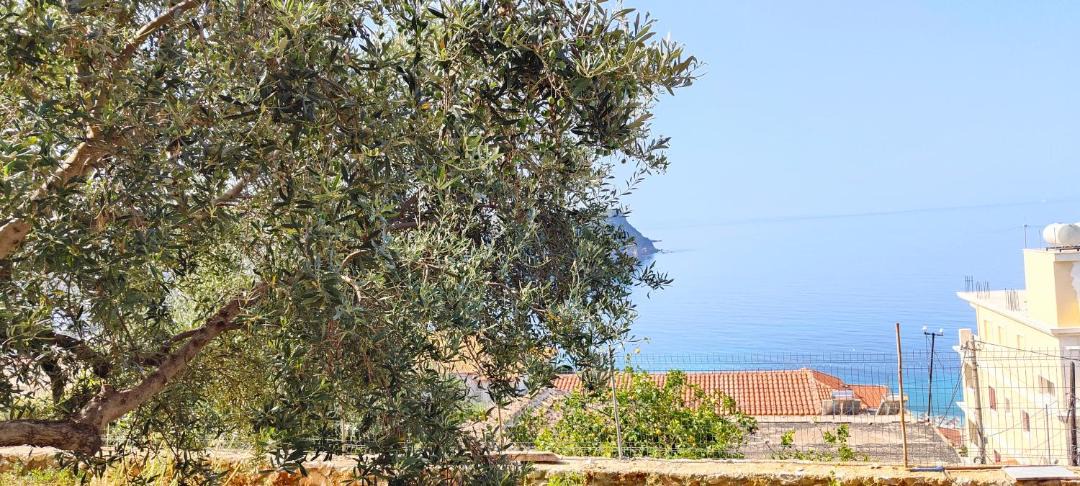 Photo of Others in Himare
