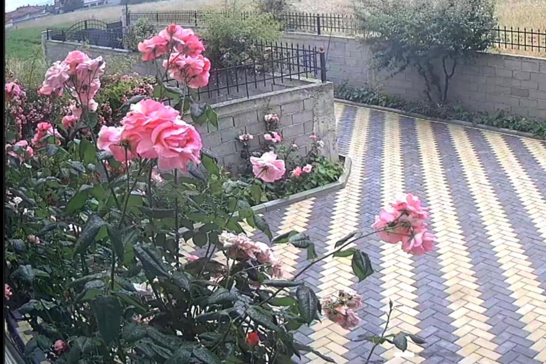 Photo of Others in Korce