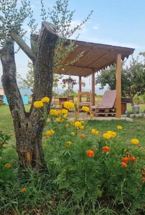 Photo of Others in Shkoder County