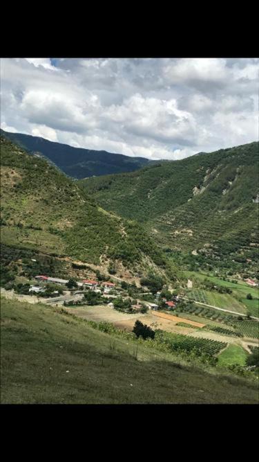 Photo of Others in Corovode