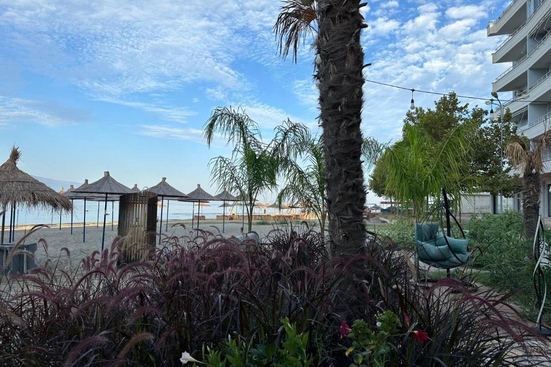 Photo of Others in Vlore