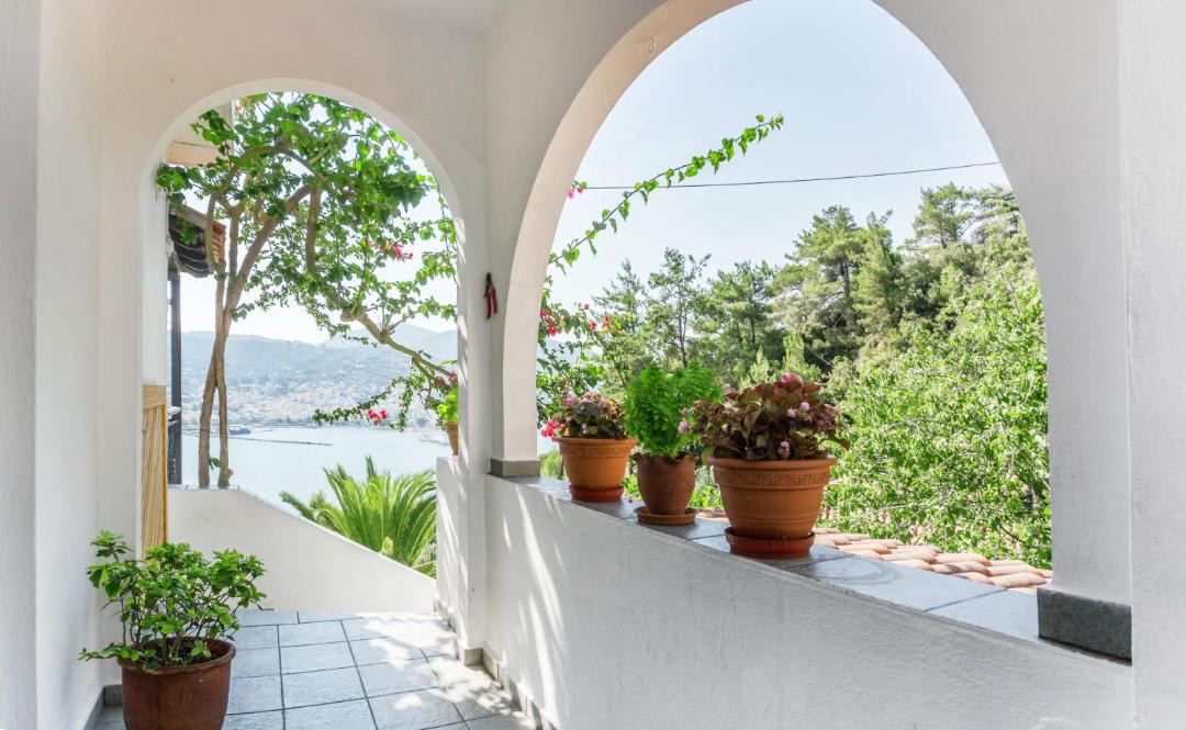 Photo of Others in Skopelos Town