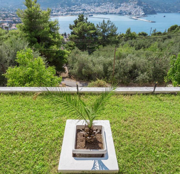 Photo of Others in Skopelos Town