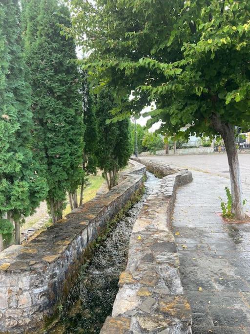 Photo of Others in Kozani