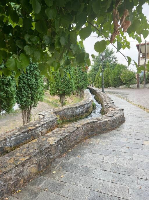 Photo of Others in Kozani