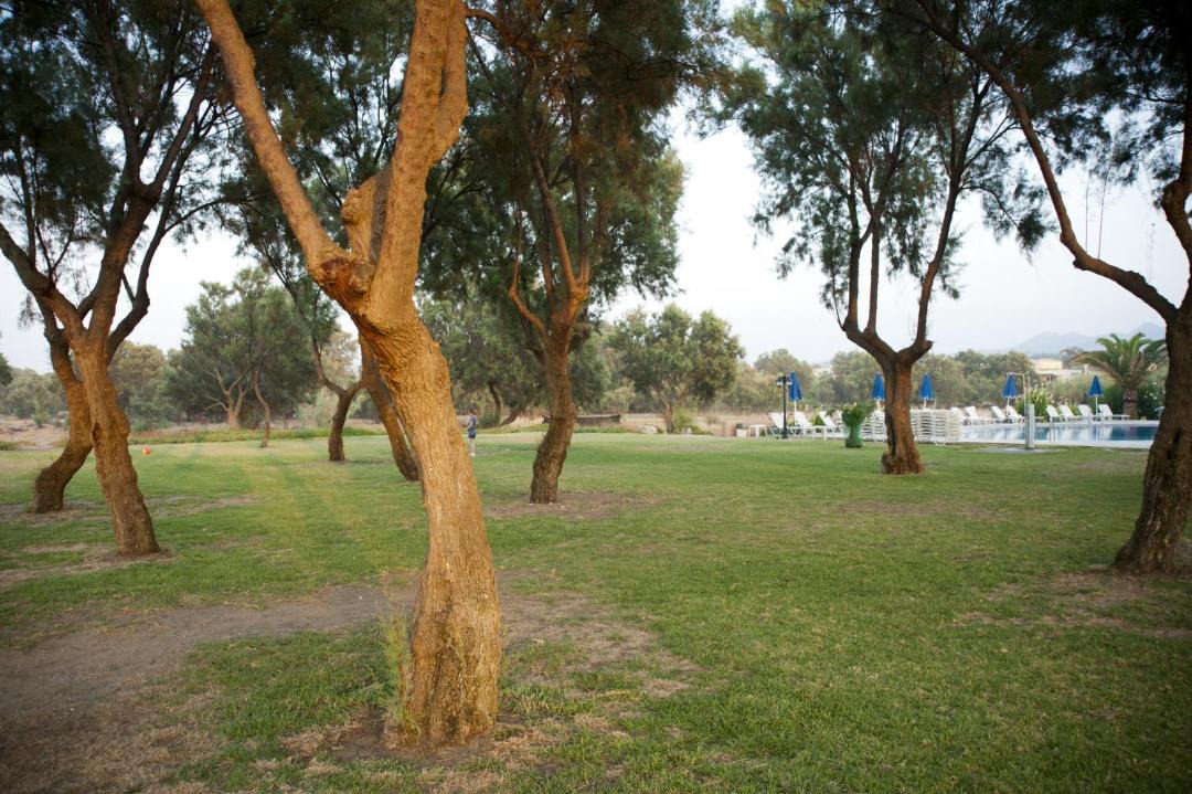 Photo of Others in Gerani