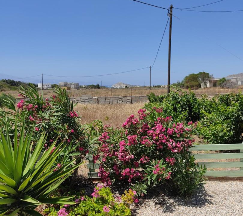 Photo of Others in Naxos
