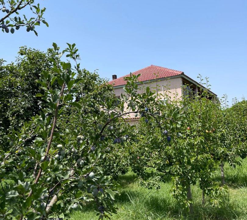 Photo of Others in Otllak